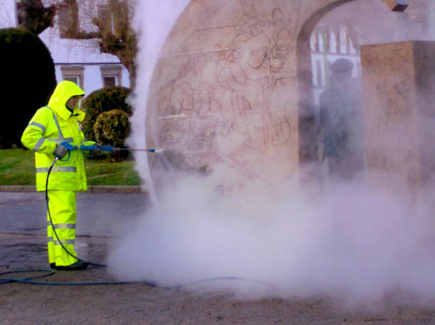 Best Pressure Washing Near Me  in Royalton, MN
